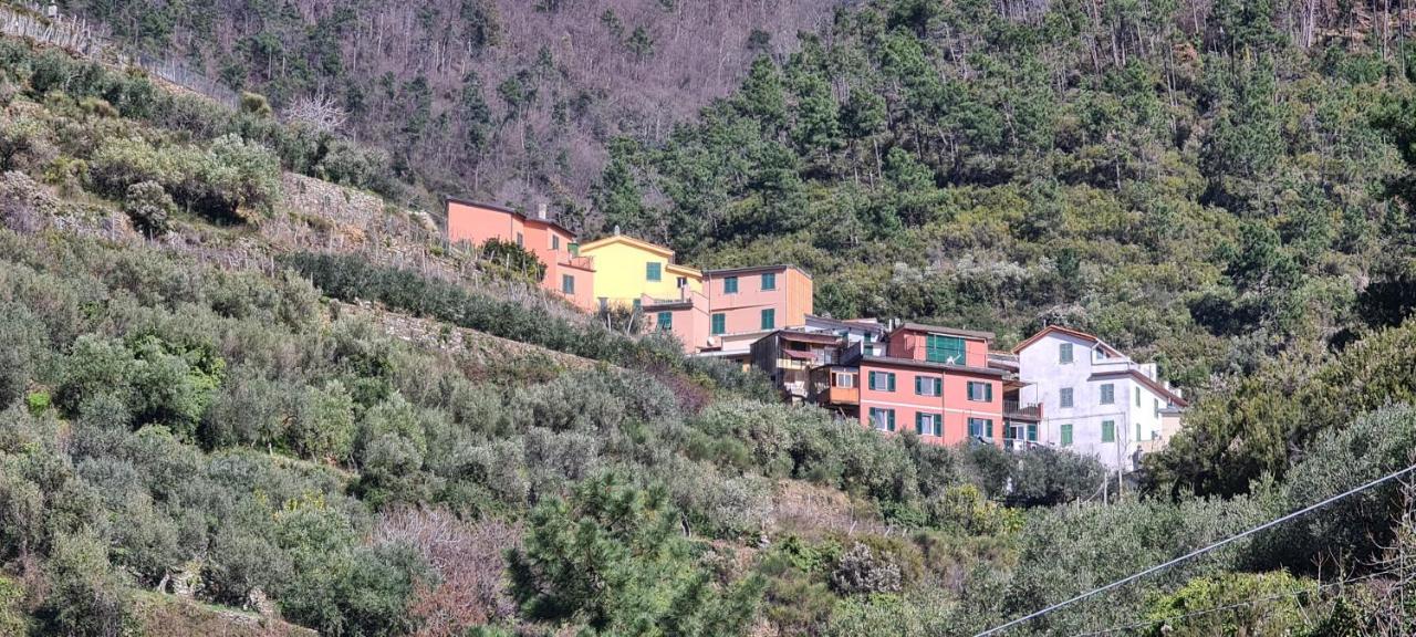 Villa ☆ Terrace & Relax ☆ Casa Franceschin_ Homy 5 Terre Riomaggiore Exterior foto